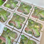 🍀 Lucky Clover Themed Box 🍀